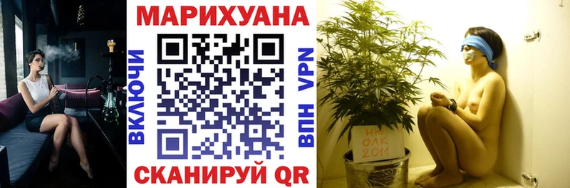 Купить закладки  Костомукша  Бошки Шишки Amnesia 